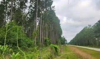 00 Pleasant Grove Church Road B, Albany, GA 31707