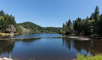 9958 BEACH Dr, Birkenfeld, OR 97016