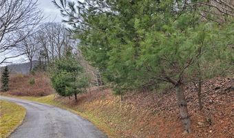 Lot 137 E Indrio Road, Blowing Rock, NC 28605