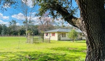 10 SW 50th Ave, Bell, FL 32619