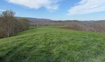 1999 Snake Run Rd, Alderson, WV 24910