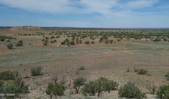 98 N9222, Concho, AZ 85924