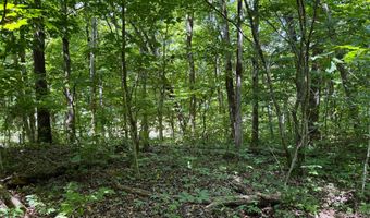 6 8 Acres Friendship South Rd, Afton, TN 37616