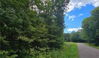 Tbd 162nd Street, Apple River, WI 54001
