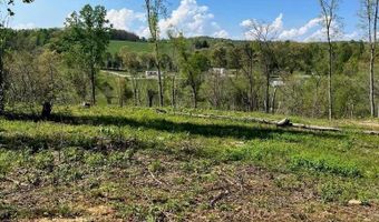 Tract 1 Mill Creek Rd, Andersonville, TN 37705