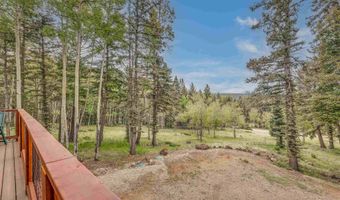 33 Vista Del Sur, Angel Fire, NM 87710