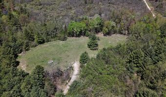 5826 S Morrison Rd, Alger, MI 48610