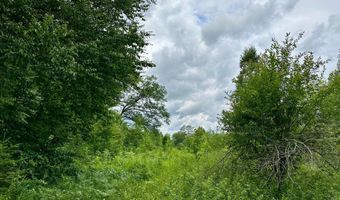 Opah's Drive lot 11, Aitkin, MN 56431