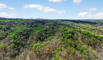 61 AC Hidden Cove Ln, Allons, TN 38541