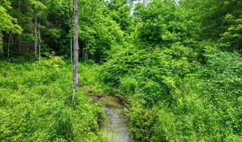 24483 Cave Creek Rd, Abingdon, VA 24211