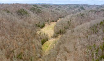 Willis Creek Rd, Albany, KY 42602