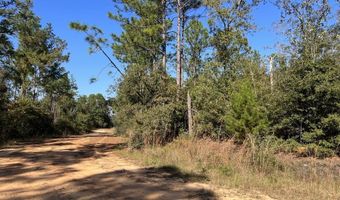 LOT 9 Arches Cir, Alford, FL 32420