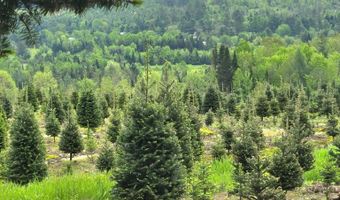 374 Crank Rd, Bloomfield, VT 05905