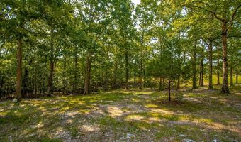 10201 Sierra Place Dr, Alexander, AR 72002