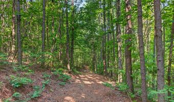 2025 Soap Creek Rd, Ball Ground, GA 30107