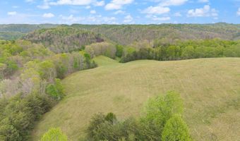 371 Big Branch Rd, Beattyville, KY 41311
