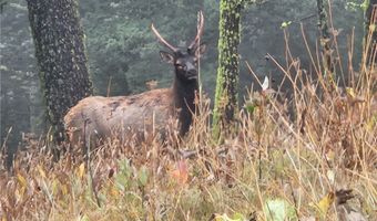 Tbd TBD, Big Timber, MT 59011