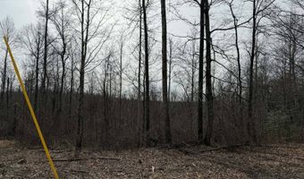 Malone Ridge Rd, Albany, KY 42602