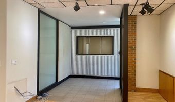 225 N Mill St 117, Aspen, CO 81611