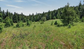 NNA Guthrie Way, Bonners Ferry, ID 83805