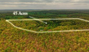 493 County Road 151, Alton, MO 65606