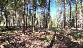 NW LODGE Rd, Banks, OR 97106