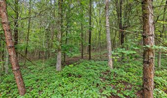12706 Cranfield Rd, Birchwood, TN 37308