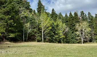 15098 CR 240, Bayfield, CO 81122