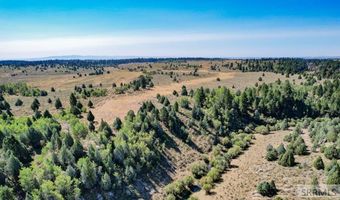 1780 Sadorus Hill Rd, Ashton, ID 83420