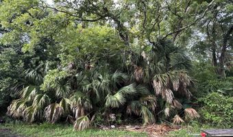 195 8Th St, Apalachicola, FL 32320