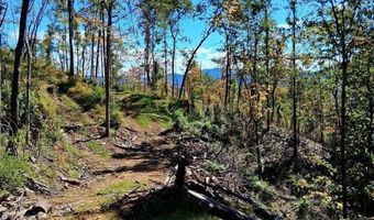 0 Mount Horeb Rd, Amherst, VA 24521