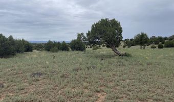 68 County Road 8620, Concho, AZ 85924