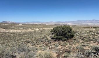 1330 WILD HORSE RUN, Dyer, NV 89010