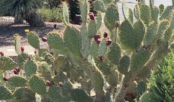 3643 W MEDINAH Ct, Anthem, AZ 85086