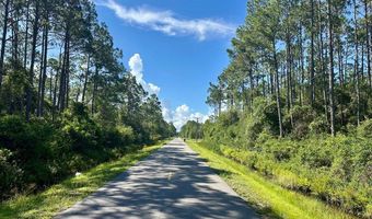 Peachtree Rd lot 68N, Apalachicola, FL 32320