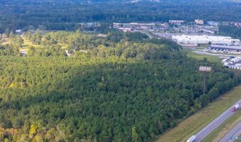 77 Acres Wilson St, Attalla, AL 35954