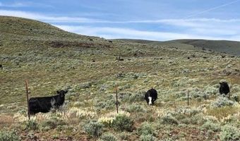3730 Bully Creek Rd, Westfall, OR 97920