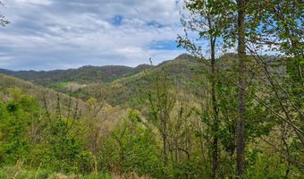 2789 Dry Fork Rd, Bandy, VA 24602