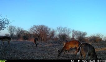 CR 119 lot 0, Alice, TX 78332