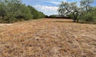 FM 3376 lot 12, Alice, TX 78332
