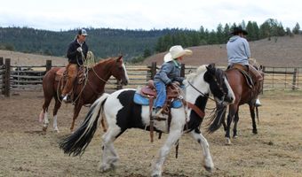 Fishhole Creek Road, Bly, OR 97622