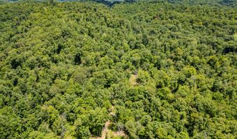 2291 Blankey Branch Rd, Beattyville, KY 41311