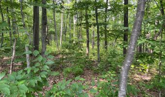 Cascade Mountain Road, Amenia, NY 12501