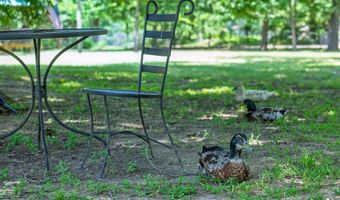 245 County Road 1689, Alba, TX 75410