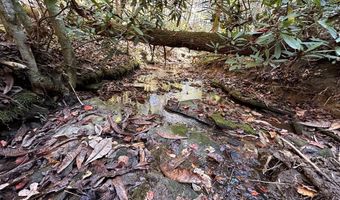 18 6 Acres Cave Branch Rd, Allardt, TN 38504