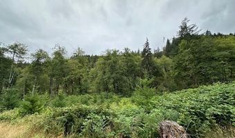 2 N Dubois Rd, Ariel, WA 98603