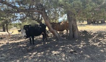 00 Graven Reservoir, Alturas, CA 96101