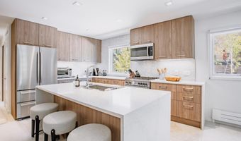 210 E Cooper Avenue 3G, Aspen, CO 81611