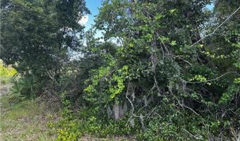 3325 N Horseshoe Dr, Avon Park, FL 33825