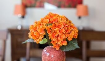 455 PHELPS Dr, Clarkdale, AZ 86324